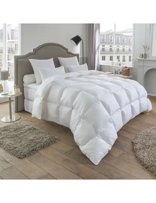 Couette Drouault Népal 280g/m² - 5 tailles